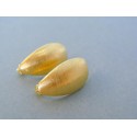 Zlaté dámske náušnice žlté zlato DA311Z 14 karátov 585/1000 3.11g