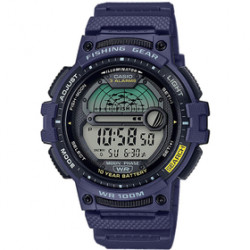 Casio hodinky pánske D-WS-1200H-2AVEF