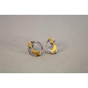 Pozlatené strieborné napichovacie náušnice zirkón VAS208 925/1000 2,08g