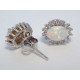 Strieborné dámske napichovacie náušnice DAS245 925/1000 2,45g