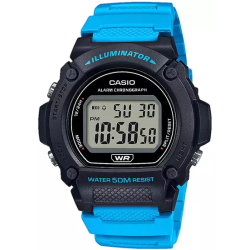 Pánske náramkové hodinky CASIO D-W-219H-2A2VEF