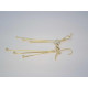 Strieborné pozlátené visiace náušnice s príveskom VAS307 925/1000 3,07g